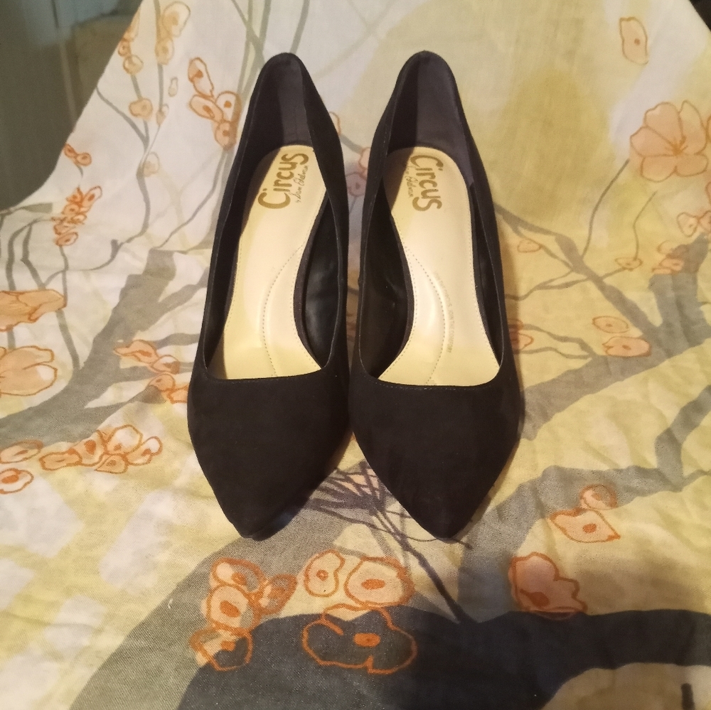 Pumps - Picture 2 of 2